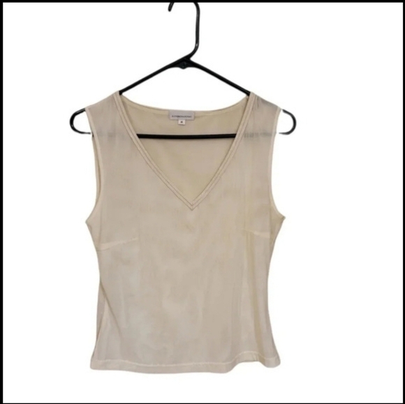 Alexandra Rosati Tops - Alexandra Rosati sheer v-neck Size Medium